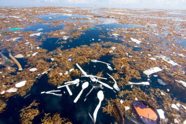 Le plastique inonde les océans