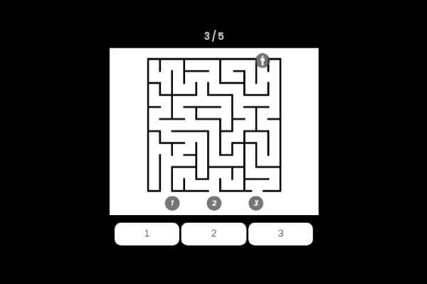 Vous êtes capable de sortir du labyrinthe?